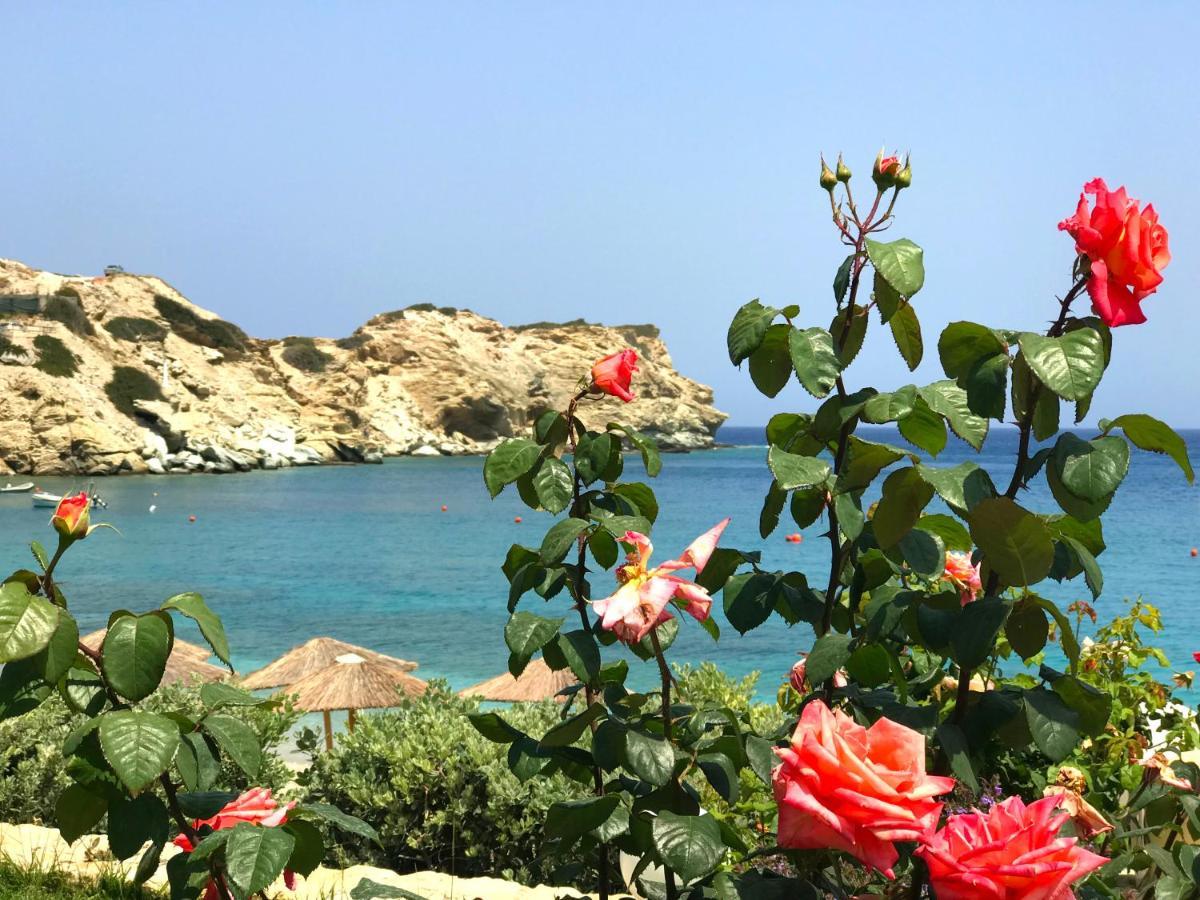 Dreamwave Residence - Unique Holidays By The Sea Ligaria  Dış mekan fotoğraf